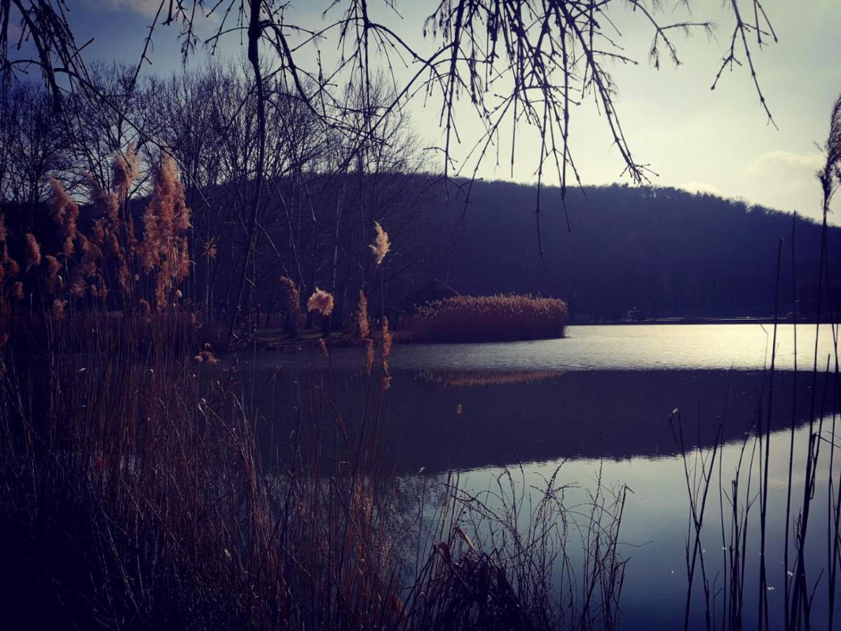Varga Villa Orfű Εξωτερικό φωτογραφία