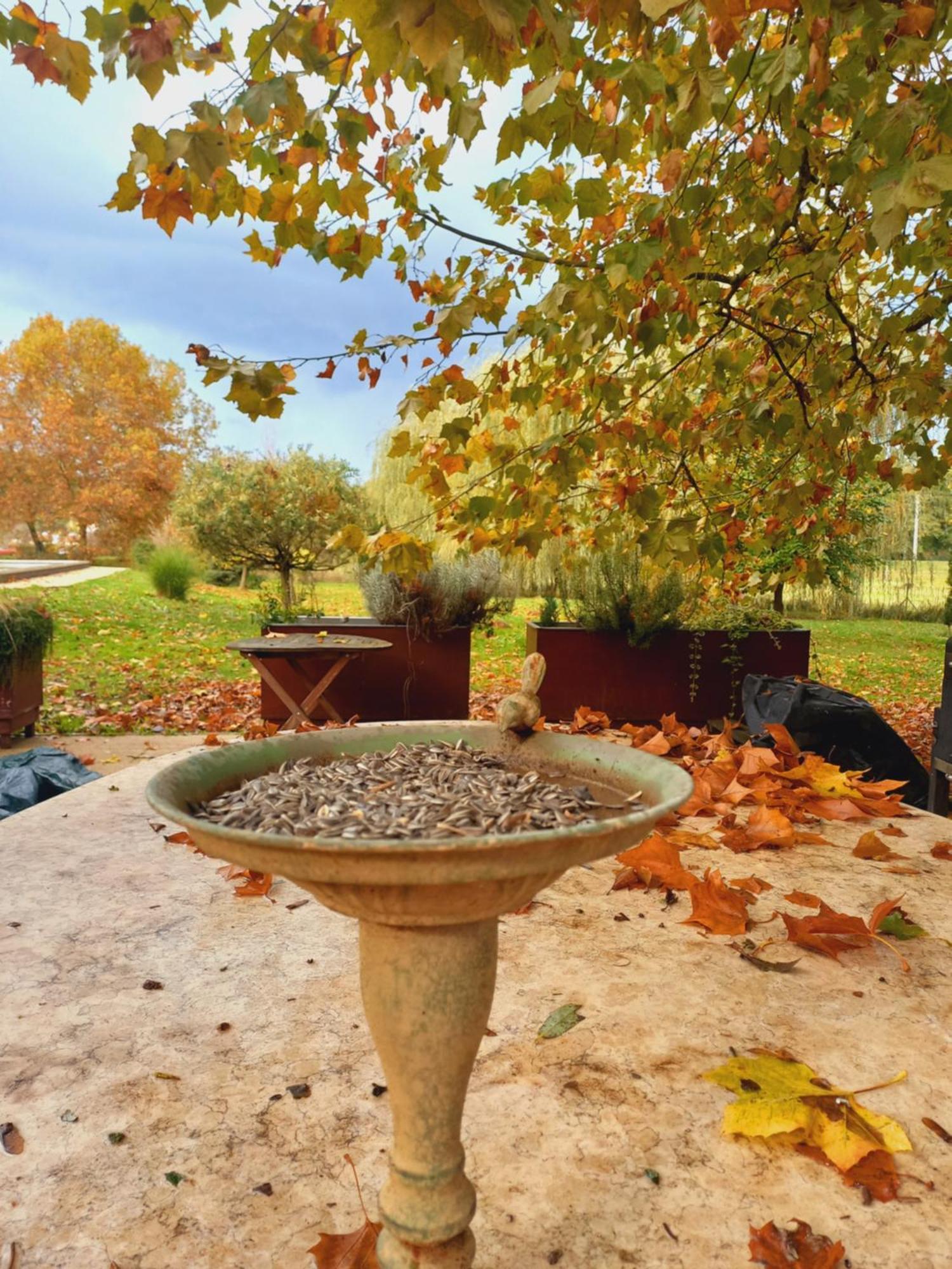 Varga Villa Orfű Εξωτερικό φωτογραφία