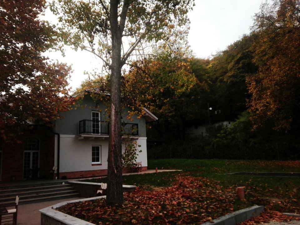 Varga Villa Orfű Εξωτερικό φωτογραφία